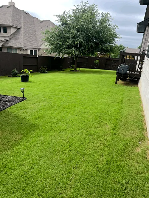 Compact backyard lawn with new grass installation
