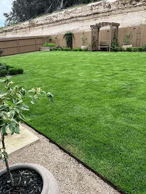 Freshly cut and maintained backyard lawn in San Antonio