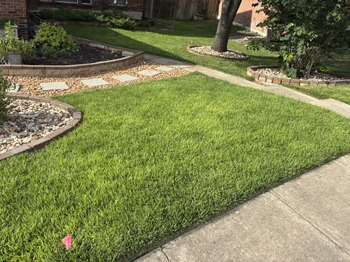 Concrete and stone walkway along a residential home